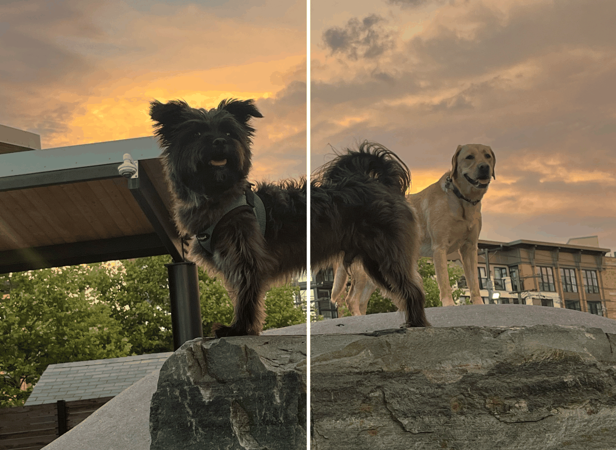 Steg AI Watermarking Example: The left image is the original image. The right image has been watermarked using Steg AI's proprietary watermarking technology.
