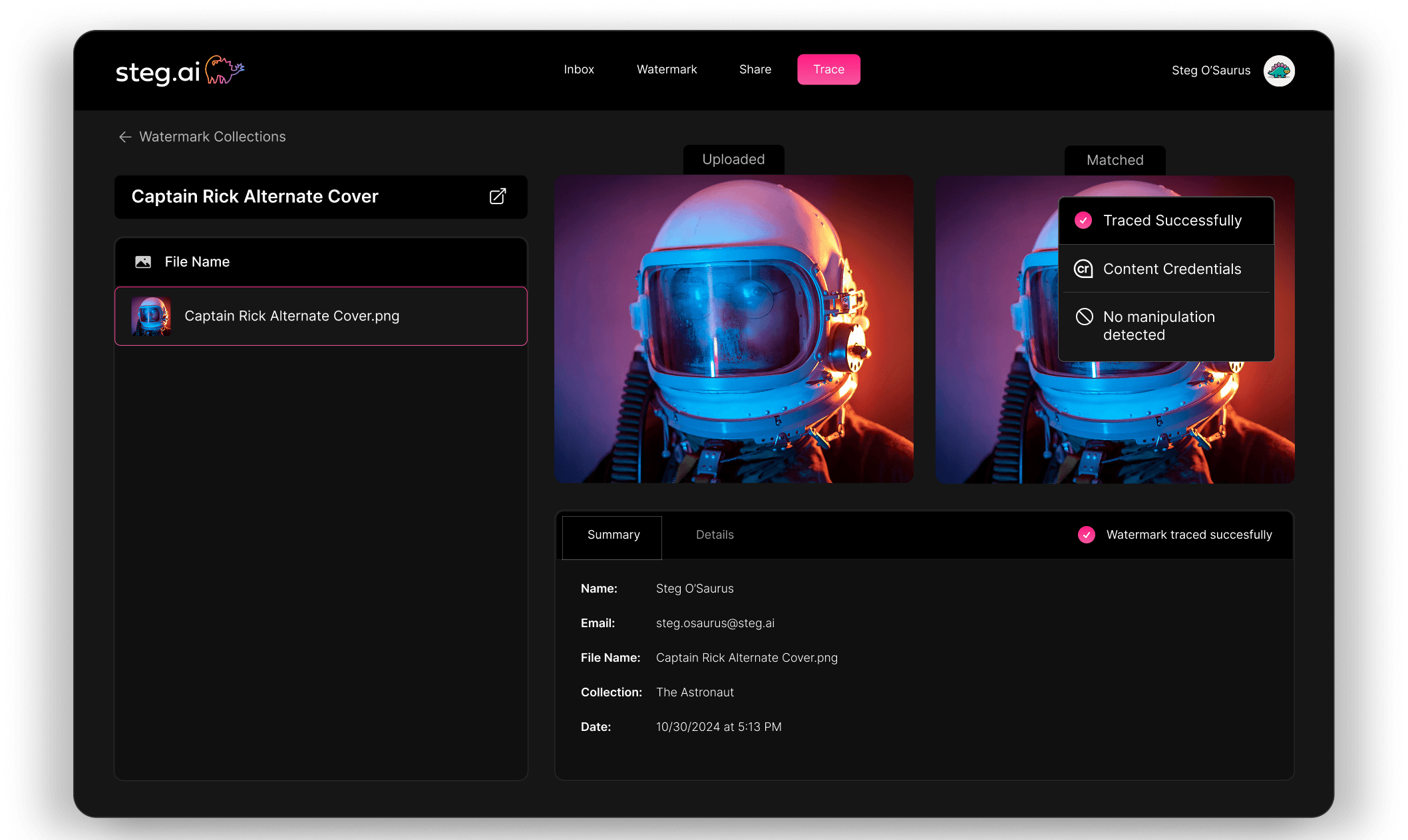 Steg.AI's web-based AI detection tool